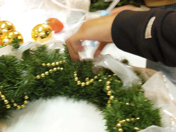 DSCN0569